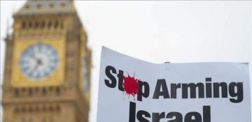 UK halts 30 of 350 arms export licenses to Israel 