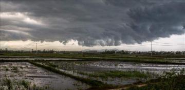 Typhoon Yagi claims 29 more lives in Vietnam, raising death toll to 262 