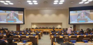 UNGA urges science and data to combat sea level rise 