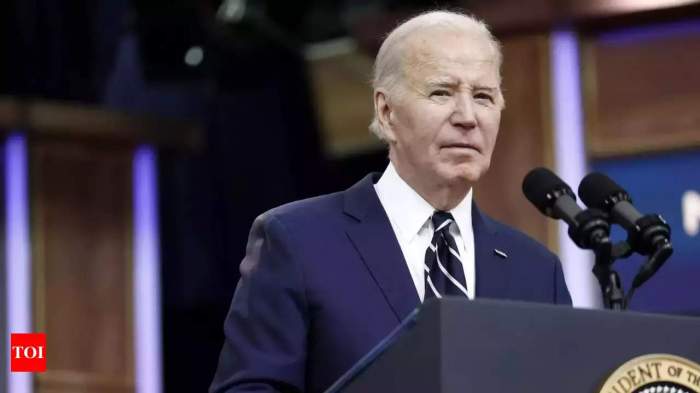 Biden announces need for ceasefire on Israeli-Lebanese border 