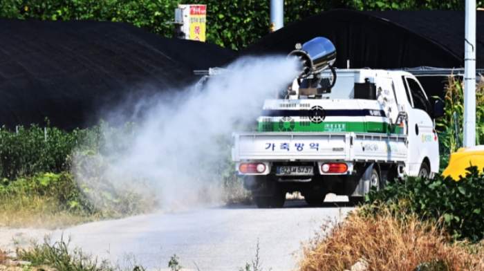 S. Korea confirms 4th case of lumpy skin disease 