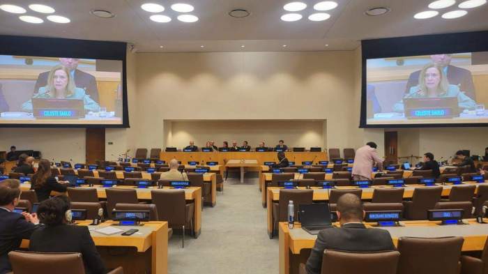 UNGA urges science and data to combat sea level rise 