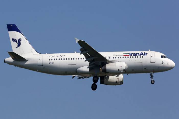 Iran suspends domestic flights