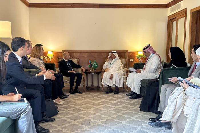 Azerbaijan, Saudi Arabia mull co-op prospects within green energy corridors, COP29