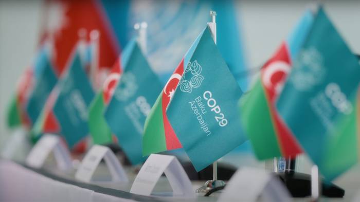 Azerbaijan aims to elevate standards in hosting COP29, says MP 