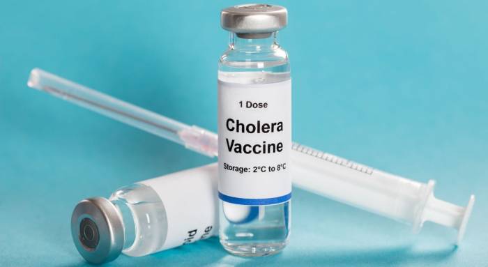 Nigeria receives 600,000 cholera vaccine doses to combat outbreak