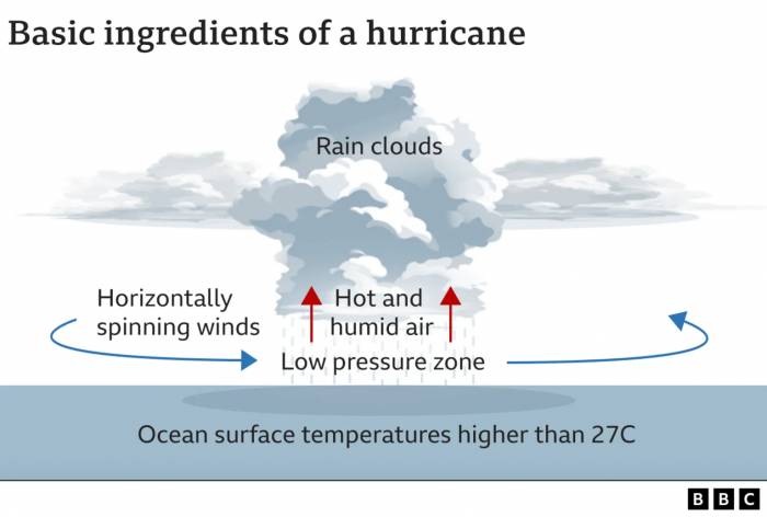 News about - When is Hurricane Milton expected to reach Florida? 