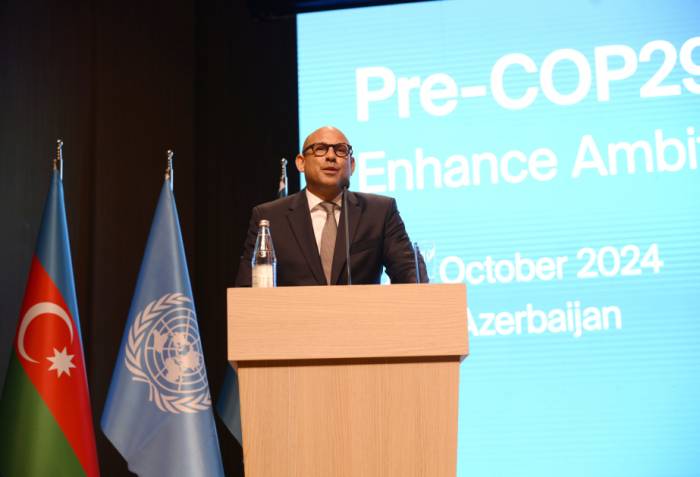 COP29 must drive new climate solutions: UNFCCC chief