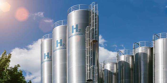 Poland announces plans for green hydrogen production plant