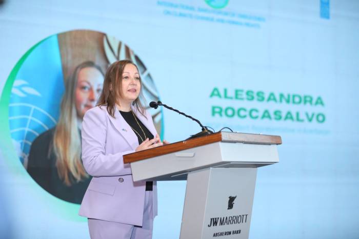 UNDP praises Azerbaijan's commitment to multilateral climate action