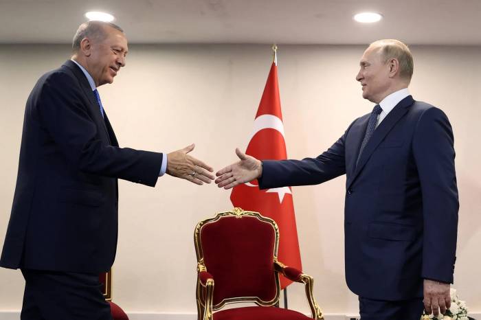  Erdogan and Putin’s talks: Turkey’s future in BRICS 