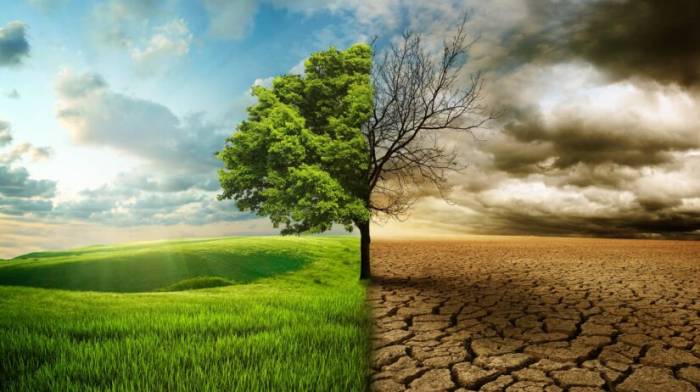  Impact of climate change on food production: challenges and prospects 