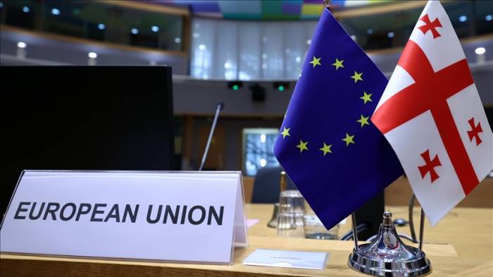 EU envoy warns Georgia about potential visa-free travel suspension 