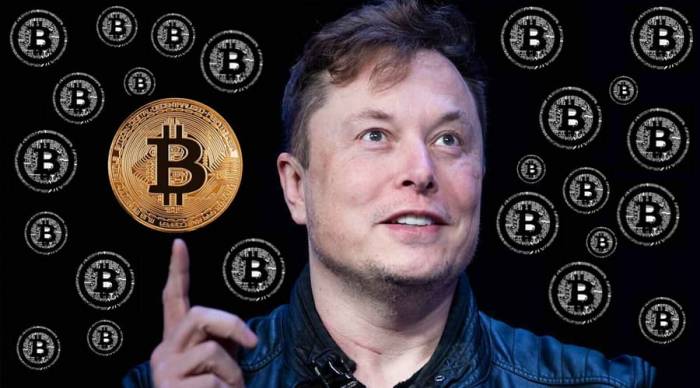 Elon Musk announced his ambitious plan: Crypto prices rallied 