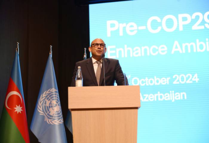 COP29 ‘crucial moment’ in global climate fight: UN official 