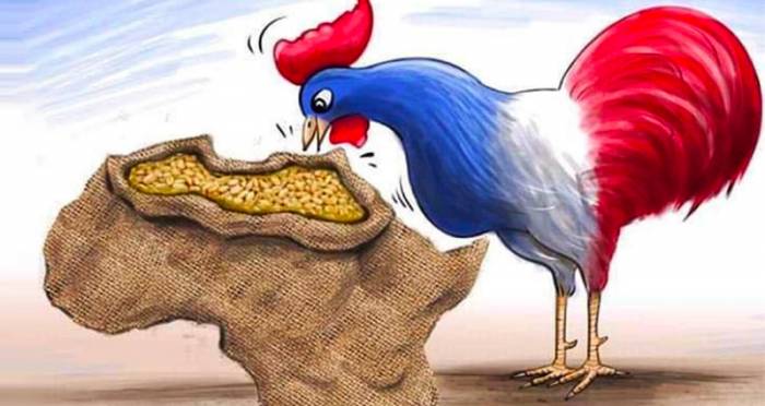  Éparses islands: Another victim of French neocolonialism 