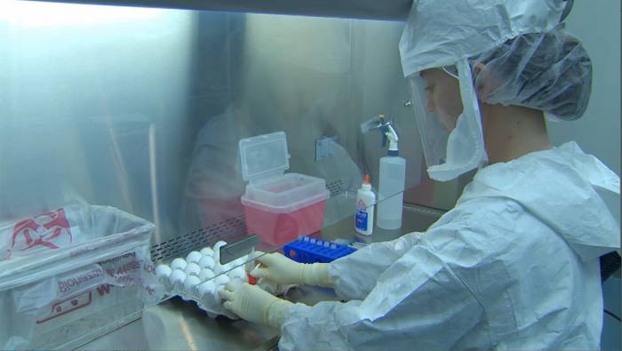 US reports fatal Lassa fever case