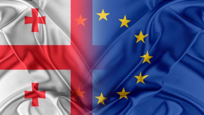 One day Georgia will join EU: Orban 