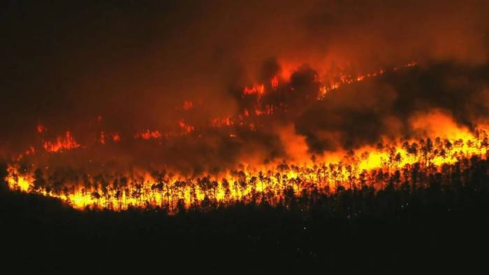 US: Dry fall triggers upstate wildfire, warnings across New York