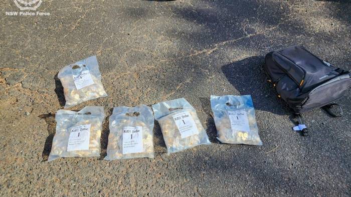 Australian police recover 40,000 stolen limited-edition Bluey coins