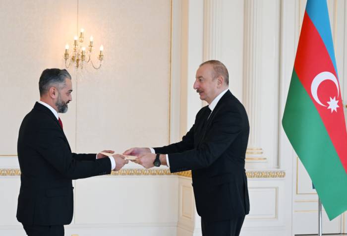 Azerbaijani president hails successful development of ties with Albania 