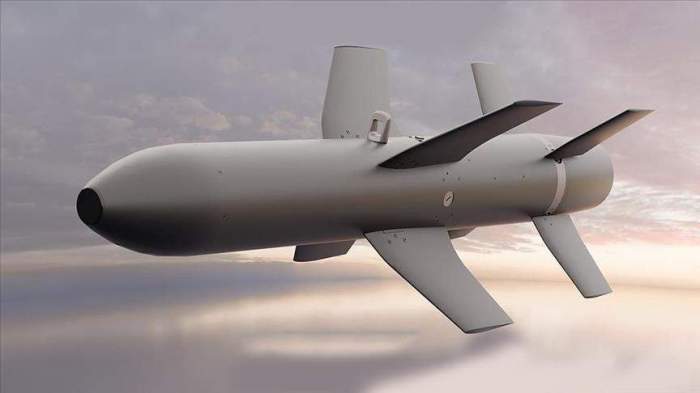 'Skywolf' munitions family for Turkish combat drones set to boost defense capabilities