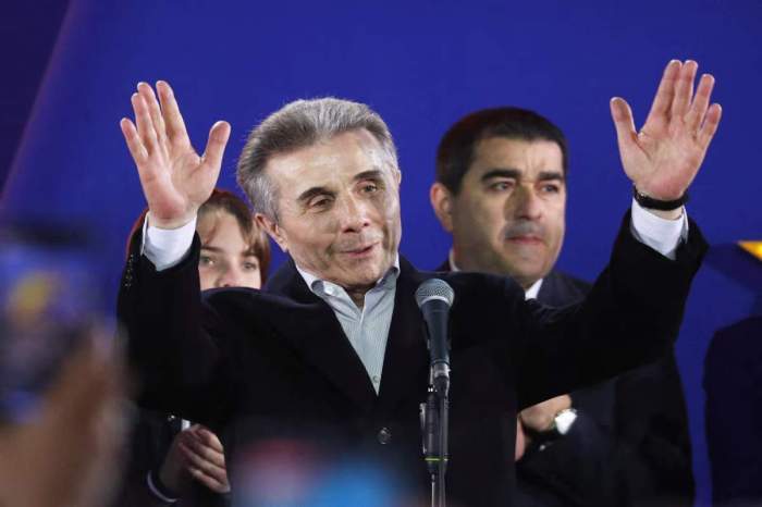 Georgian ruling party wins majority in election, official results say 