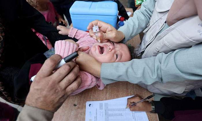 Second round of polio vaccinations launches in Gaza 