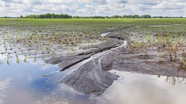 News about -  Impact of climate change on food production: challenges and prospects 