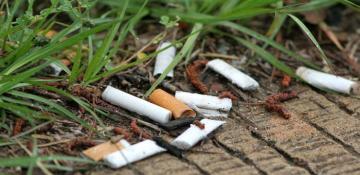 Azerbaijan sharply increases fines for tobacco waste disposal into environment