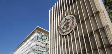 WHO recommends no travel and trade restrictions amid mpox, Marburg outbreaks