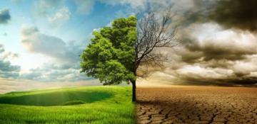  Impact of climate change on food production: challenges and prospects 