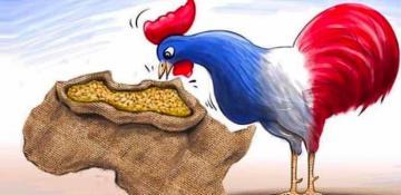  Éparses islands: Another victim of French neocolonialism 