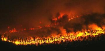 US: Dry fall triggers upstate wildfire, warnings across New York