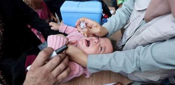 Second round of polio vaccinations launches in Gaza 