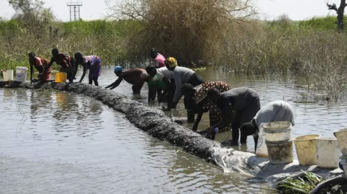 Flooding displaced 241,000 people in Sudan