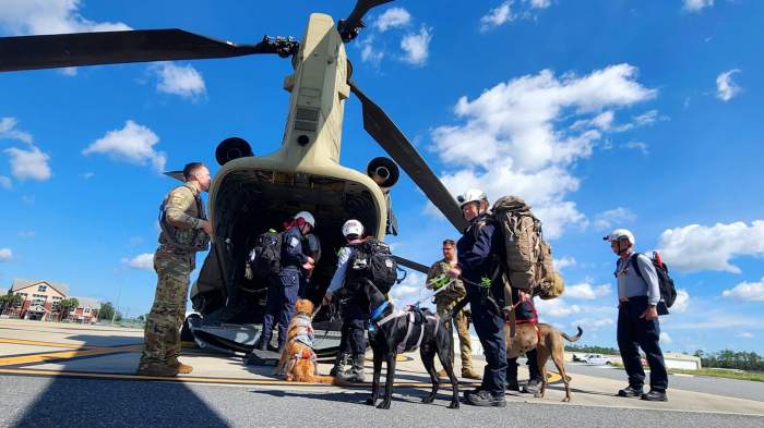 US mobilizes 1,000 US soldiers for Hurricane Helene's emergency response 