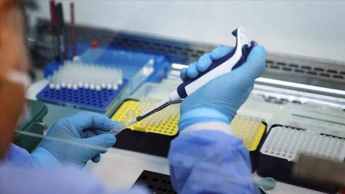 Kenya reports its first mpox death amid regional outbreak 