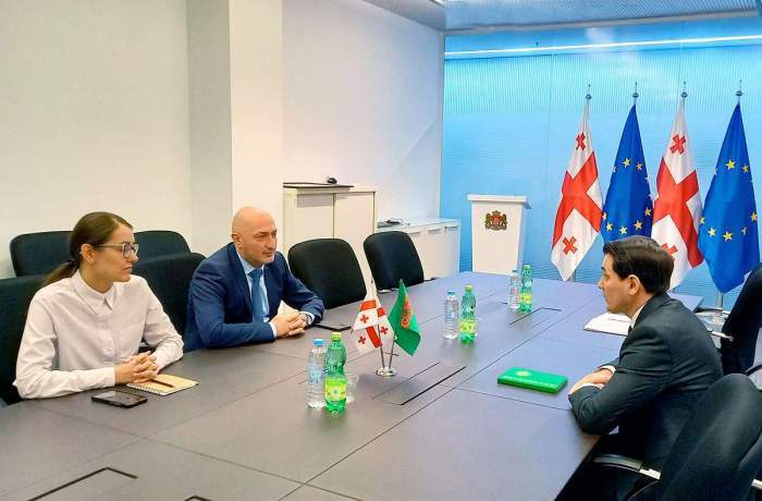 Turkmenistan, Georgia explore joint project in energy sectors 