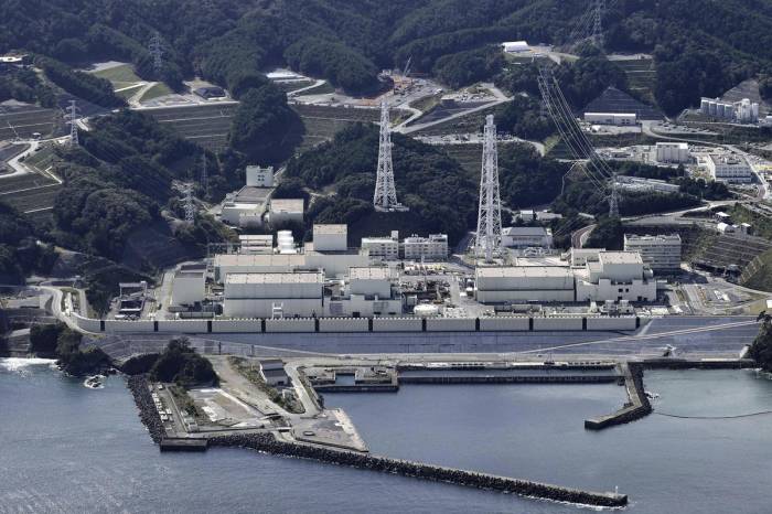 Japan’s nuclear reactor shut down again shortly after restarting operations