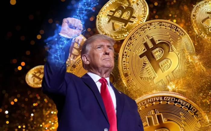 US stocks and Bitcoin reach record highs following Trump's victory 