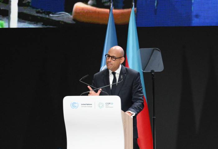 UNFCCC chief emphasizes urgency of global co-op on climate action at COP29