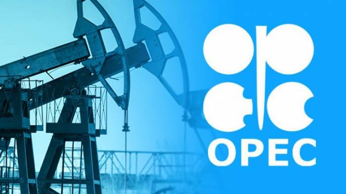 OPEC downgrades global oil demand growth forecast