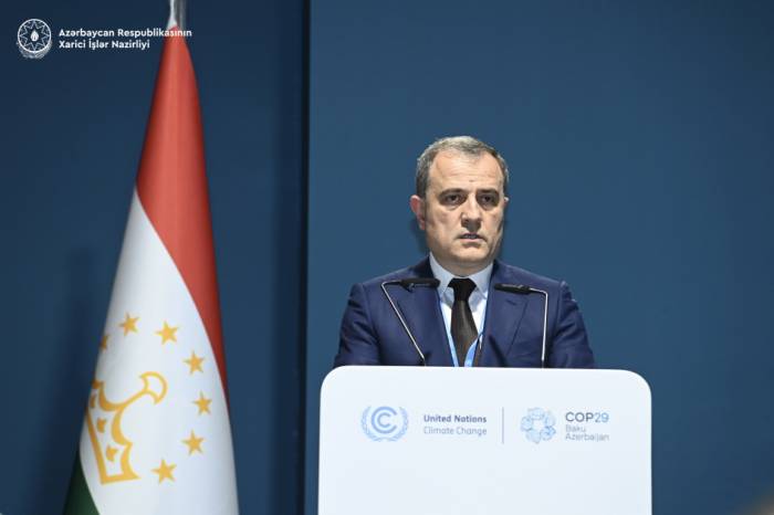 Azerbaijan’s FM calls for global action on glacier preservation at COP29