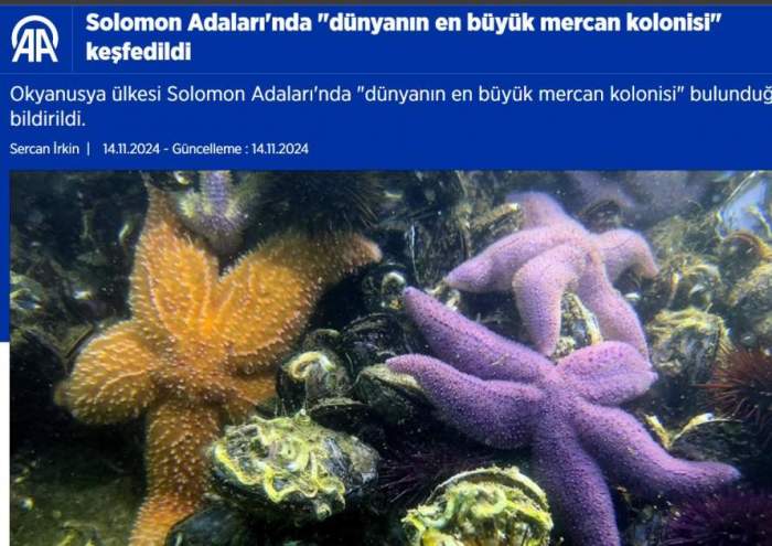 World's largest coral discovery revealed at COP29 