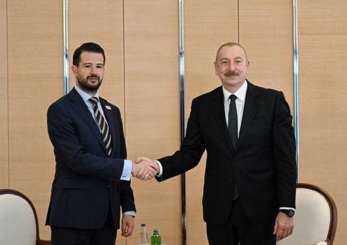 Azerbaijani, Montenegrin presidents hail development of bilateral ties