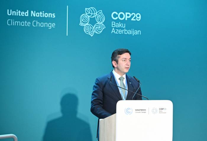 COP29 lead negotiator highlights importance of climate finance in global transition to low-emission future