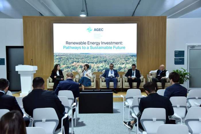 COP29: Event held on renewable energy investment 