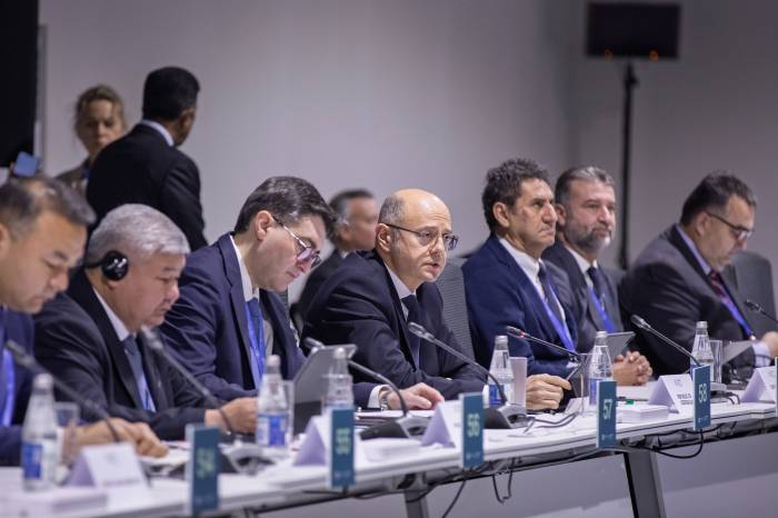 Azerbaijan emphasizes importance of renewable energy cooperation with Central Asia