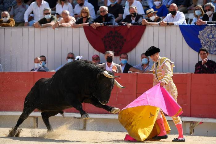 France's Senate votes down bill to ban children from attending bullfights